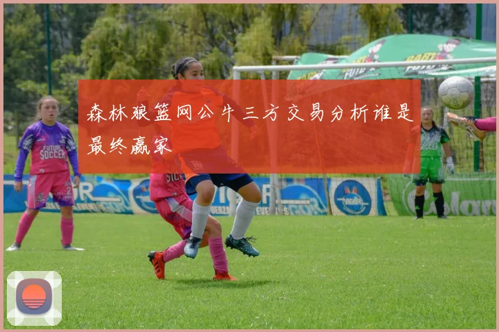 森林狼篮网公牛三方交易分析谁是最终赢家